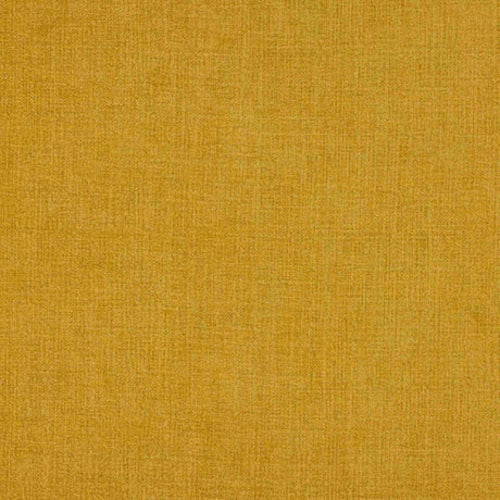 Avelar: Saffron - Tier 2 (Chenille)