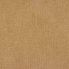 Avelar_Caramel_-_Tier_2_Chenille.jpg__PID:afe9698d-0984-415d-9745-2dc5201615ff