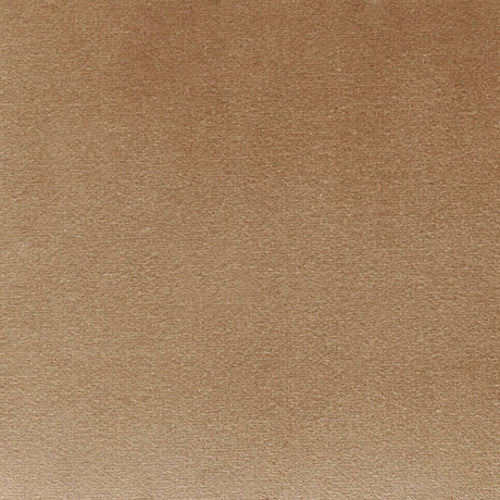 Caruso: Mastro - Tier 3 (Velvet)