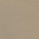 Pelle - Golden Glow.jpg__PID:3c260361-ebc2-4ca7-a7f4-f89c83c509e1